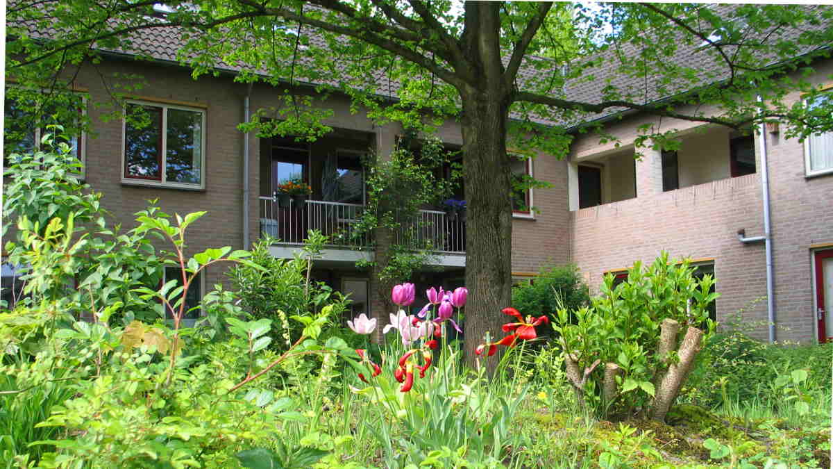 Voortuin cluster 4